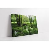 Tablosan Sulak Ve Yeşil Doğa Kanvas Tablo 40 X 60 Cm Ka20229