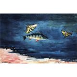 Tablosan Suluboya Balık Ve Kelebek Manzara Kanvas Tablo 80x120 cm Kb27220 80x120 cm