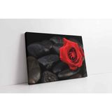 Tablosan Taşların Üzerinde Kırmızı Gül Kanvas Tablo 40 X 60 Cm Ka03226