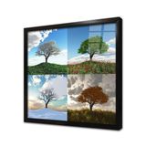 Tablosan Tek Ağaç 4 Mevsim Kolaj Çerçeveli Cam Tablo 60X60 Cm Ca20559