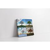 Tablosan Tek Ağaç 4 Mevsim Kolaj Kanvas Tablo 30 X 30 Cm Ka20559