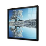 Tablosan Tek Ağaç Ve Gelincik Çerçeveli Cam Tablo 60X60 Cm Ca20548