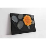 Tablosan Turuncu Aster Ve Spa Taşları Kanvas Tablo 20 X 30 Cm Ka03101