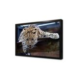 Tablosan Vahşi Doğa Kartal Çerçeveli Mdf Tablo 40 X 50 Cm Ma32167