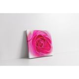 Tablosan Yakın Çekim Pembe Gül Kanvas Tablo 30 X 30 Cm Ka03598