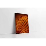 Tablosan Yelpaze Kanvas Tablo 40 X 60 Cm Ka23114