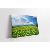 Tablosan Yemyeşil Ayçiçek Tarlası Kanvas Tablo 60 X 90 Cm Ka20431