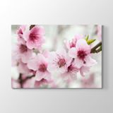 Tabloshop Badem Ağacı 140x100 cm Tablo