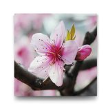 Tabloshop Baharda Kiraz Çiçeği 90x90 cm Tablo