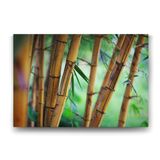 Tabloshop Bambu Ağaçları 60x40 cm Tablo