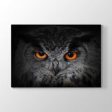 Tabloshop Baykuş Gözleri 60x40 cm Tablo