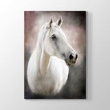 Tabloshop Beyaz At 40x60 cm Tablo