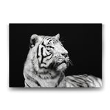 Tabloshop Beyaz Kaplan Profil 125x80 cm Tablo