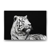 Tabloshop Beyaz Kaplan Profil 45x30 cm Tablo