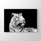 Tabloshop Beyaz Kaplan Profil 60x40 cm Tablo