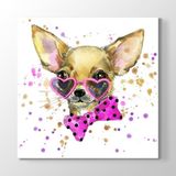 Tabloshop Chihuahua 80x80 cm Tablo