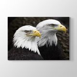 Tabloshop Çift Başlı Kartal 90x60 cm Tablosu
