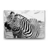 Tabloshop Çift Zebralar 125x80 cm Tablo