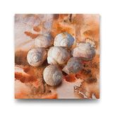 Tabloshop Deniz Kabuğu Soyut 100x100 cm Tablo