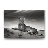 Tabloshop Dişi Aslan 140x100 cm Tablo