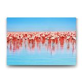Tabloshop Flamingolar 45x30 cm Tablo
