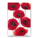 Tabloshop Gelincik Çiçeği Vektörsu 70x100 cm Tablo