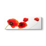 tabloshop Gelincik Dekoratif Panorama Tablo 180 x 60