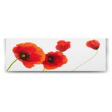tabloshop Gelincik Dekoratif Panorama Tablo - 90x30cm