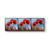 tabloshop Gelincikler Kolaj Panorama Tablo 120 x 40