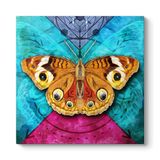 tabloshop Gerçekçi Dekoratif Kelebek Kanvas Tablo 80 x 80