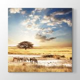 Tabloshop Geyik 60x40 cm Tablo