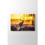 Tabloshop Geyik 90x60 cm Tablo