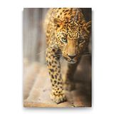 Tabloshop Gizemli Kediler 40x60 cm Tablo