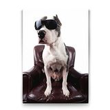 Tabloshop Gözlüklü Pitbull 80x125 cm Tablo