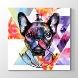 Tabloshop HN-173 King French Bulldog 50x50 cm Kanvas Tablo