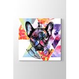 Tabloshop HN-173 King French Bulldog 60x60 cm Kanvas Tablo