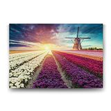 Tabloshop Hollanda Nederlands Çiçek Tarlası 90x60 cm Tablo