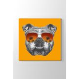 Tabloshop İngiliz Bulldog 50x50cm Tablosu