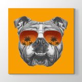 Tabloshop İngiliz Bulldog 80x80 cm Tablosu