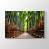 Tabloshop Japonya Bambu Tarlası 60x40 cm Tablo