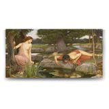 Tabloshop John William Waterhouse Echo and Narciss 100x50 cm Tablo
