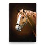 Tabloshop Kahverengi At Profil 40x60 cm Tablo