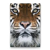 Tabloshop Kaplan Yüzü 60x90 cm Tablo