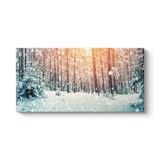 tabloshop Karla Kaplı Çam Ağaçları Kanvas Tablo 140 x 70