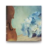 Tabloshop Keman ve Ortanca Çiçeği 60x60 cm Tablo