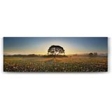 Tabloshop Kır Çiçekleri Ağaç 120x40 cm Tablo