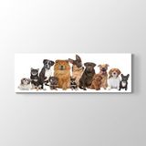 Tabloshop Köpek Irkları 180x60 cm Tablo