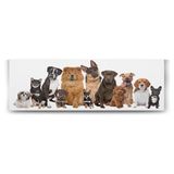 Tabloshop Köpek Irkları 90x30 cm Tablo