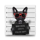 Tabloshop Kötü Köpek 90x90 cm Tablo
