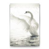 Tabloshop Kuğu 40x60 cm Tablo